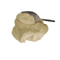 New Crop Dehydrated Vegetable Potato Powder White Color